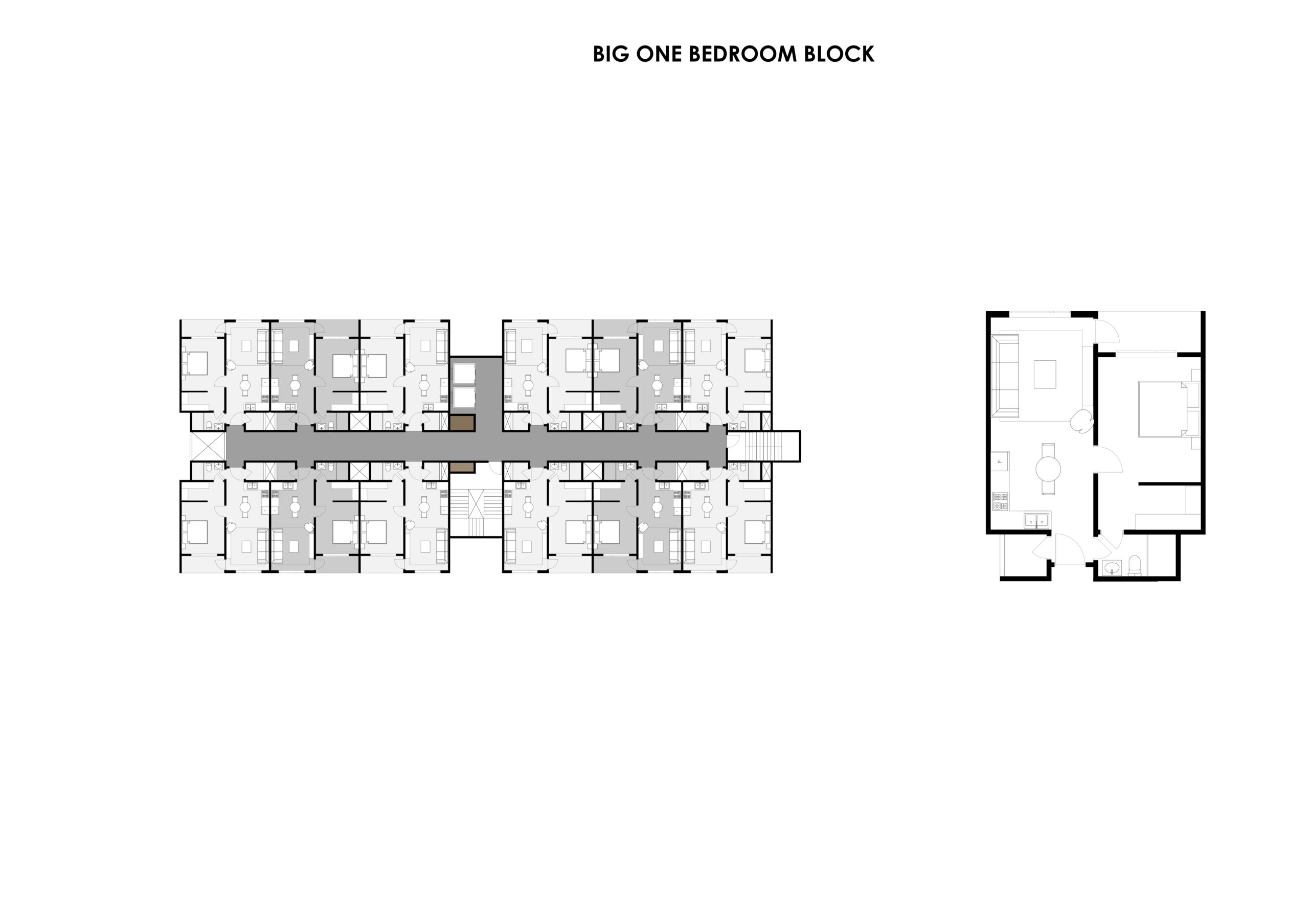 Big 1 bedroom block